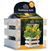 3610133_Garden Box SET Strauch Tomate Tumbling Tom gelb